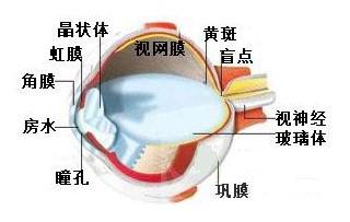 微信图片_20180820143546.jpg 微信图片_20180820143546.jpg