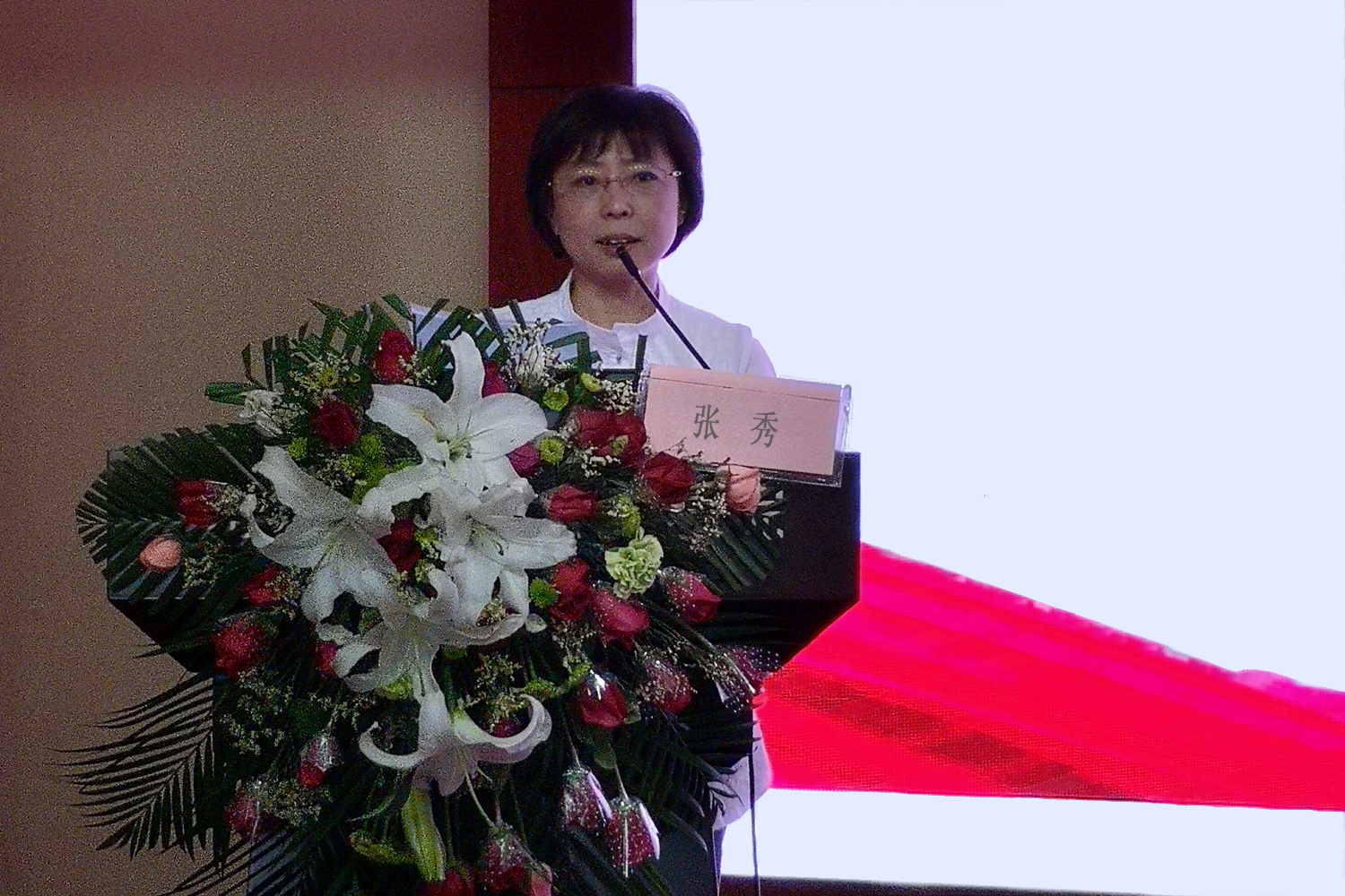 张院讲话1.jpg 张院讲话1.jpg